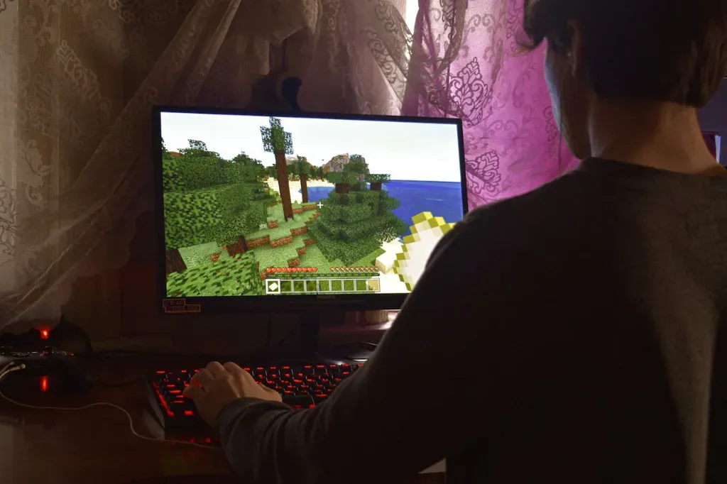 Minecraft multiplayer